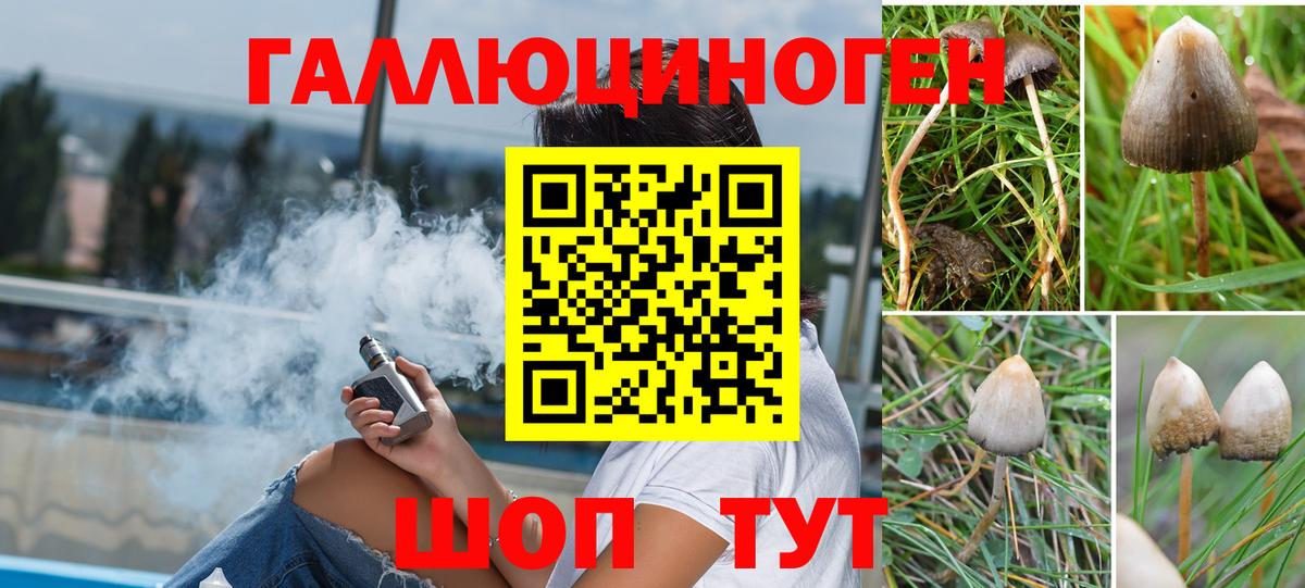 Новосибирск  Галлюциногенные грибы мухоморы  Галлюциногенные грибы прущие грибы  Вход с VPN 