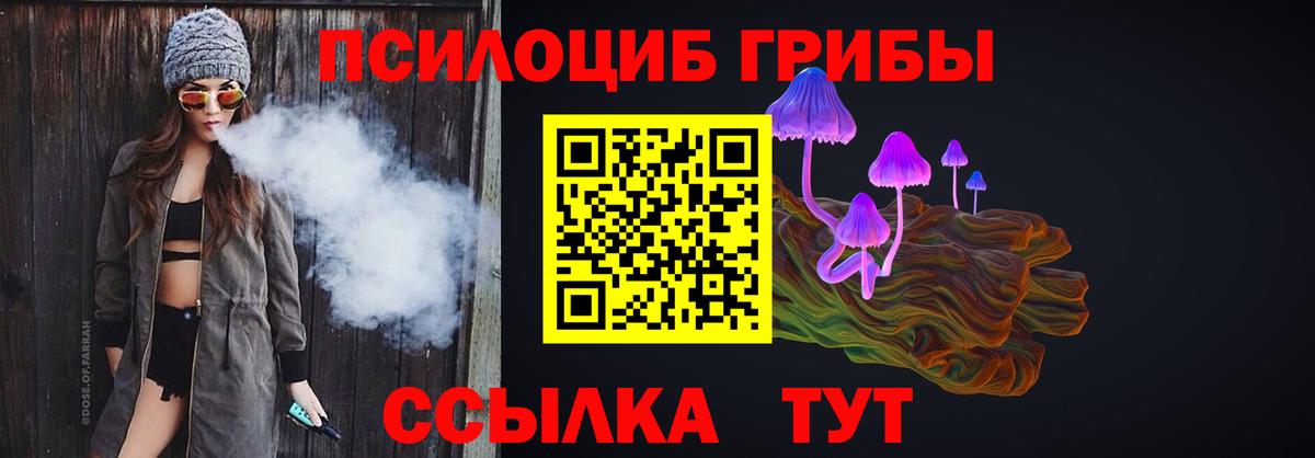 Псилоцибиновые грибы Cubensis Новосибирск